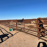 Large Pen (July 12-14 Camp)