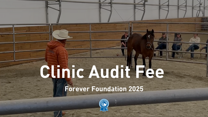 Daily Clinic Audit Fee | Forever Foundation 2025