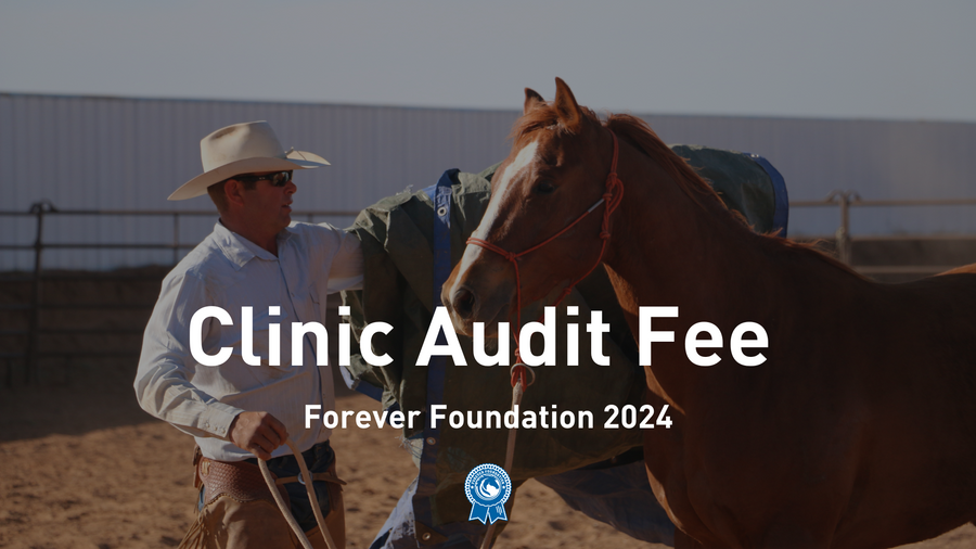 Full Clinic Audit Fee (3 Days) | Forever Foundation 2024