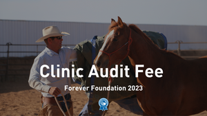 Clinic Audit Fee | Forever Foundation 2023
